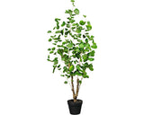 Planta Artificiala Polyscias In Ghiveci H 110 Cm Verde