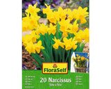 Bulbi Narcise Floraself Tete A Tete 10/11 25 Buc