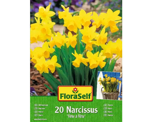 Bulbi Narcise Floraself Tete A Tete 10/11 25 Buc