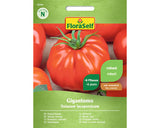 Seminte Legume Floraself Tomate Carnoase Gigantomo F1