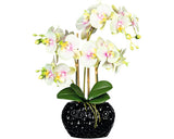 Planta Artificiala Orhidee Fluture Phalaenopsis In Vas H 55 Cm Alb