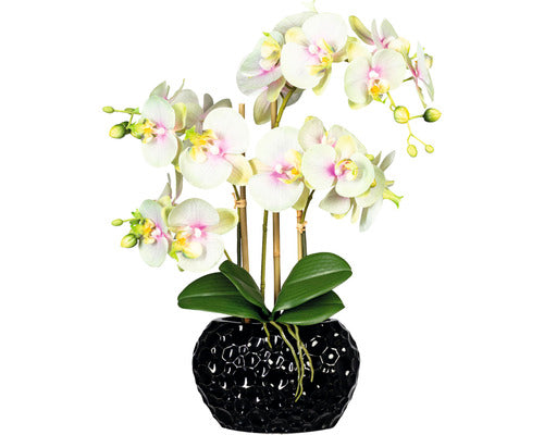 Planta Artificiala Orhidee Fluture Phalaenopsis In Vas H 55 Cm Alb