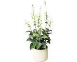 Planta Artificiala Salvie In Ghiveci H 45 Cm Alb