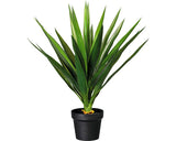 Planta Artificiala Yucca In Ghiveci H 70 Cm Verde