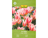Bulbi De Lalele Floraself Quebec 11/12 10 Buc