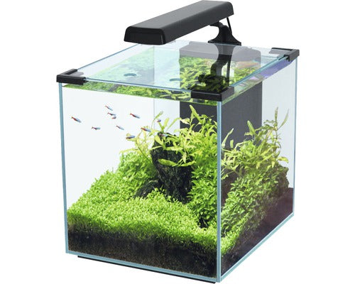 Acvariu Aquatlantis Nano Cubic, Fara Dulap Inferior, Negru 30 L