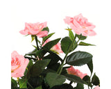 Floare Artificiala Trandafir Ø 25 Cm H 40 Cm Roz
