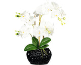 Planta Artificiala Orhidee Fluture Phalaenopsis In Vas 4 Ramuri H 55 Cm Alb