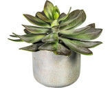 Planta Artificiala Echeveria Xl In Ghiveci H 21 Cm Verede/ Roz