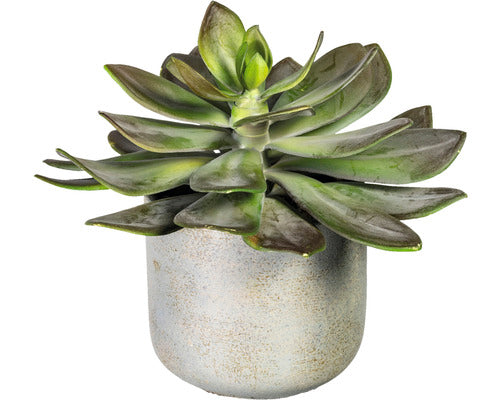Planta Artificiala Echeveria Xl In Ghiveci H 21 Cm Verede/ Roz