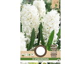 Bulbi Zambila Aiolos 15/16 5 Buc
