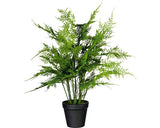 Planta Artificiala Feriga Asparagus Setaceus In Ghiveci H 40 Cm