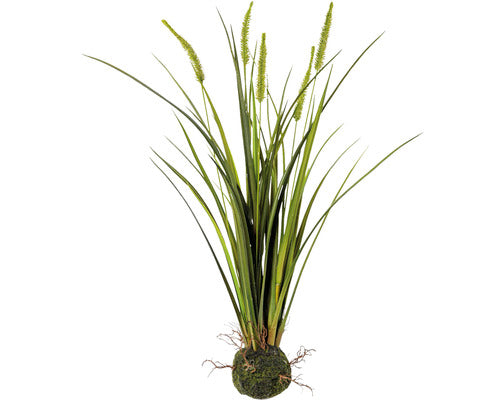 Planta Artificiala Iarba Miscanthus H 63 Cm Verde