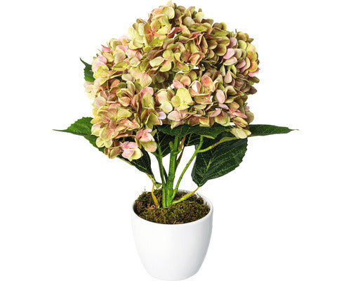 Planta Artificiala Hortensie In Ghiveci H 63 Cm Verde