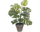Planta Artificiala Mica Monstera In Ghiveci H 48 Cm
