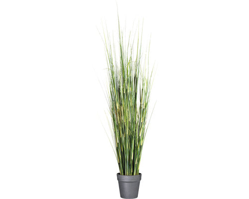 Planta Artificiala Iarba Equisetum In Ghiveci H 155 Cm Verde
