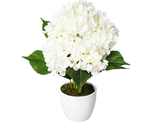 Planta Artificiala Hortensie In Ghiveci H 63 Cm Alb