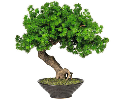 Planta Artificiala Bonsai Zada In Ghiveci H 37 Cm Verde