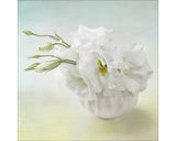 Tablou Sticla Sweet Peony I 20x20 Cm
