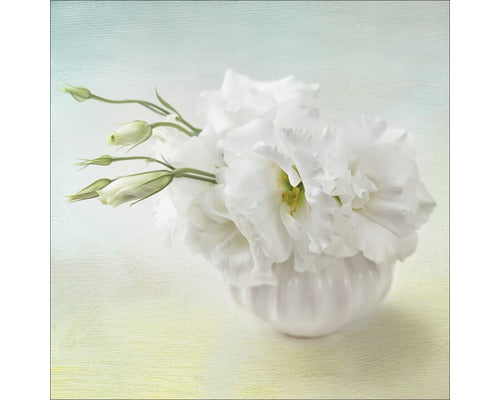 Tablou Sticla Sweet Peony I 20x20 Cm