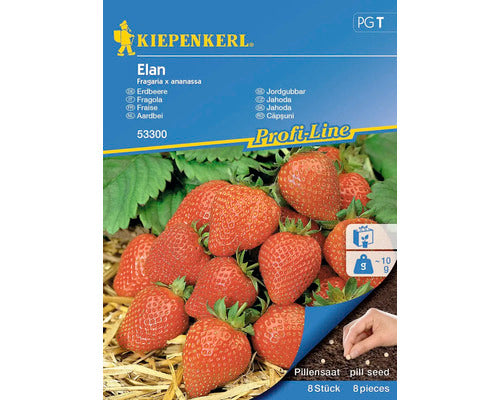 Seminte De Capsuni Elan F1 Kiepenkerl, 150 gr