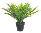 Planta Artificiala Feriga De Padure In Ghiveci H 40 Cm Verde
