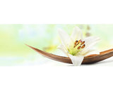 Tablou Sticla Young Living I 30x80 Cm
