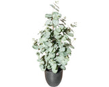 Planta Artificiala Eucalipt In Ghiveci H 60 Cm Verde