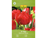 Bulbi De Lalele Floraself Miranda 11/12 10 Buc