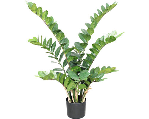 Planta Artificiala Zz Zamioculcas In Ghiveci H 90 Cm Verde