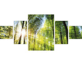 Tablou Canvas Green Forest - 5 Parti