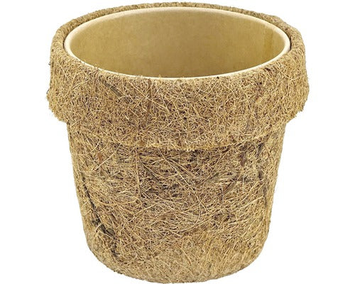 Masca Pentru Flori Kokodama, Cocos, Ø 13 H 12 Cm, Bej