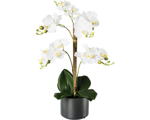 Planta Artificiala Orhidee Fluture Phalaenopsis In Ghiveci H 38 Cm Alb