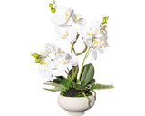 Planta Artificiala Orhidee Fluture Phalaenopsis In Vas H 50 Cm