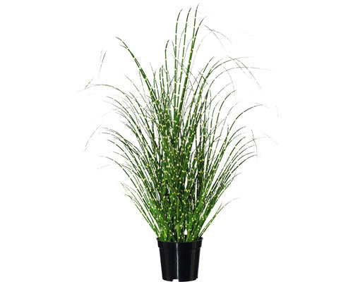 Planta Artificiala Iarba Miscanthus Zebrinus In Ghiveci H 58 Cm Verde