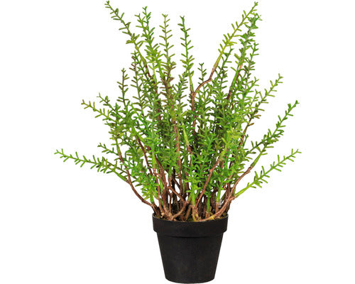 Planta Artificiala Cimbrisor In Ghiveci H 24 Cm Verde