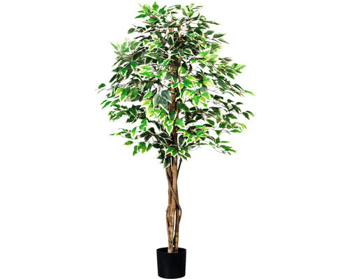 Planta Artificiala Feriga Benjamina In Ghiveci H 150 Cm Verde/ Alb