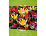 Bulbi De Lalele Floraself Wild Cottage Mix 11/12 33 Buc