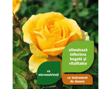 Ingrasamant Pentru Trandafiri Floraself 1 L