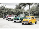Tablou Canvas Vintage Cars 60x90 Cm