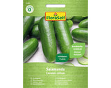 Seminte Legume Floraself Castraveciori Salamandra F1