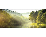 Tablou Sticla Forest Atmosphere I 50x125 Cm
