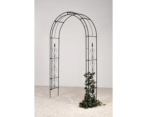 Arc Trandafiri Saphira, 38x130x240 Cm