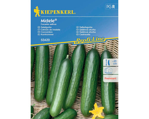 Seminte Legume Kiepenkerl Castraveti De Salata Midele Tristan F1