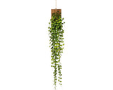 Planta Artificiala Muehlenbeckia H 123 Cm Verde
