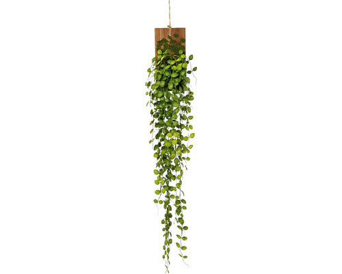 Planta Artificiala Muehlenbeckia H 123 Cm Verde
