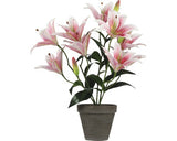 Planta Artificiala - Crin Tiger, Ø 13, 5 Cm, H 47 Cm, Roz, Ghiveci Gri