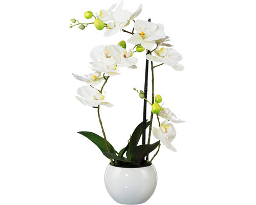 Planta Artificiala Orhidee Fluture Phalaenopsis In Vas Ceramic H 42 Cm Alb