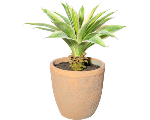 Planta Artificiala Agava In Ghiveci H 35 Cm Verde