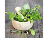 Tablou Sticla Green Basil In Bowl I 20x20 Cm